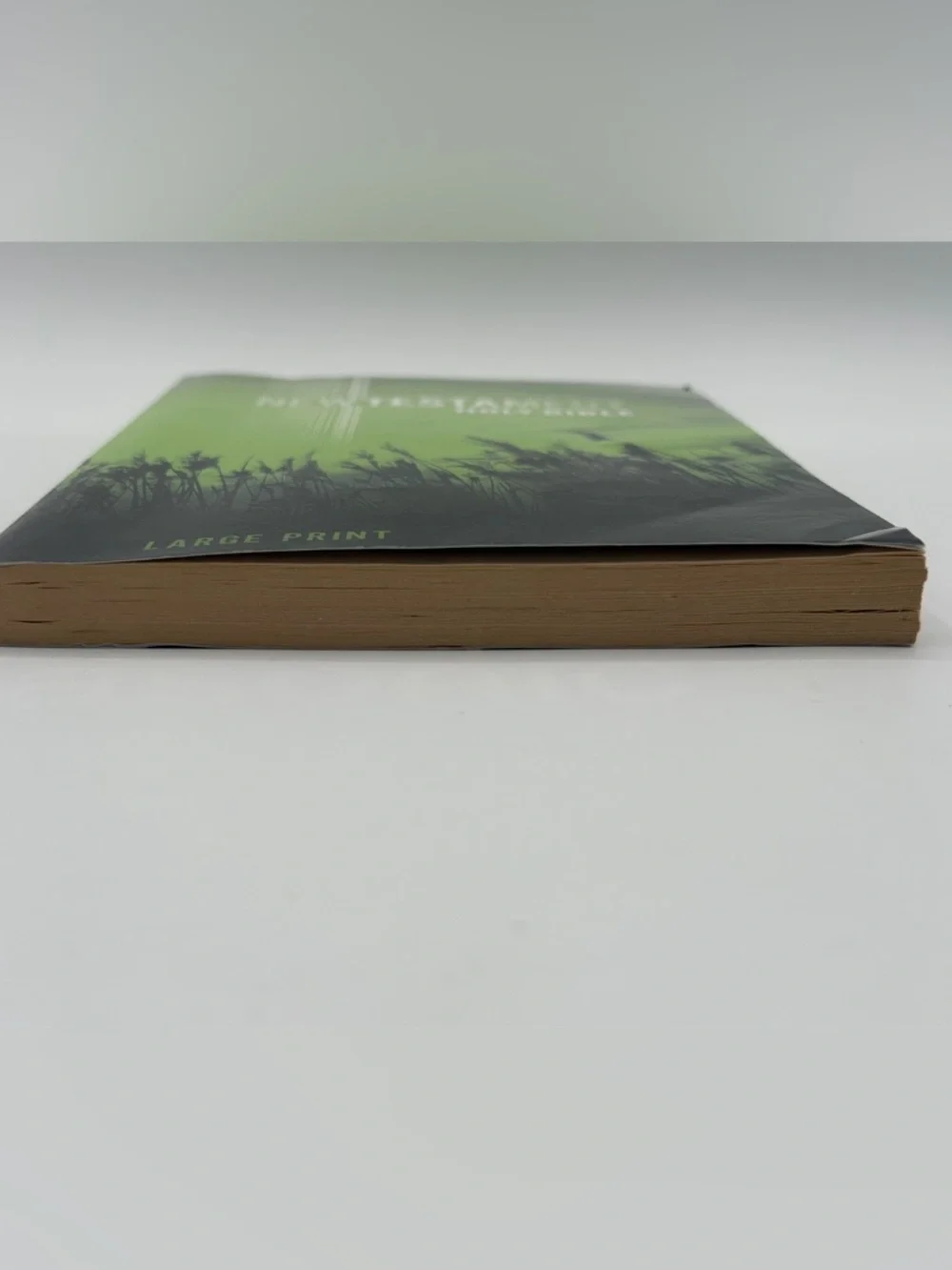New International Version New Testament Holy Bible Large Print (2011, Paperback)
